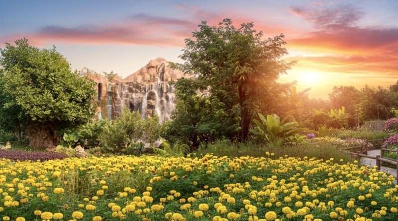 Dantewada Land of Angels Waterfall Park